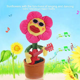 #SassySunflower Dancing Sunshine Sunflower